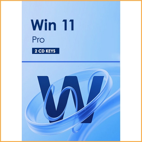 Win 11 Pro 2 Keys Pack