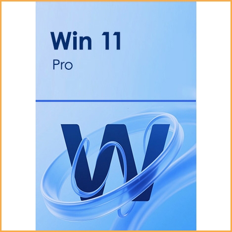 Win 11 Pro Key - 1 PC