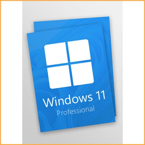 Windows 11 Professional 2 Keys Pack