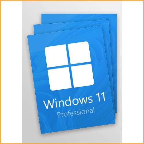 Windows 11 Professional 3 Keys Pack